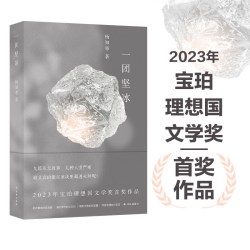 《一团坚冰》