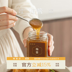 南食召 梅酱 酸甜带咸·纯梅熬制 青梅子酸梅酱 烧鹅烤鸭叉烧蘸酱 青梅酱（400g*1瓶）