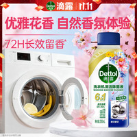 滴露 洗衣机清洁剂 强力除垢杀菌 春日繁花250ml