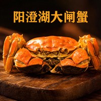移动端：金御现货活蟹正宗阳澄湖大闸蟹鲜活螃蟹3两全母蟹特大大闸蟹礼盒