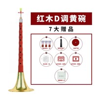 新艺 专业乌木唢呐乐器全套 D调 初学者入门