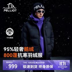 伯希和 极寒Pro 泡芙羽绒服冬季新款户外保暖防寒服 800蓬鹅绒 95%绒子含量