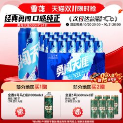 雪花 BEER 雪花 SNOWBEER BEER BEER 勇闯天涯 啤酒 500ml*24听
