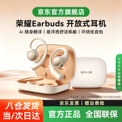 荣耀 Earbuds 挂耳式蓝牙耳机 极昼金 Type-C