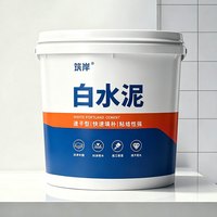 筑岸白水泥高强度速干防水墙面填缝剂地面修补砂浆快干家水泥