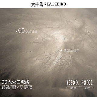 太平鸟 哈灵顿羽绒服 保暖防寒 可可棕 2XL 男士外套