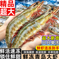 九英里 青岛大虾 14-16cm 30-40头 3斤(净重) 生鲜对虾【单只速冻 新货】