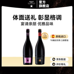 INEDIT 大星精酿啤酒750ml*1+大莓好750ml*1