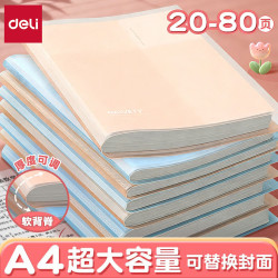 得力 文件夹A4资料册试卷夹透明插页资料文件收纳册产检孕检 透明蓝/20页可装40张