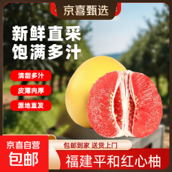 福建琯溪蜜柚红心柚子皮薄爆汁甜柚新鲜时令水果节日整箱 2-3斤（单果1-1.5斤）
