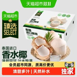 猫超臻选泰国香水椰青大果椰子水椰皇当季新鲜水果