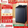 小天鹅 小乌梅5.0系列 TB12K60 变频波轮洗衣机 12kg