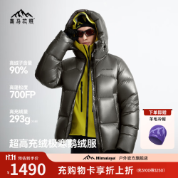 喜马拉雅 雨崩2.0极寒雪山版鹅绒服700蓬90绒 岩礁灰 700蓬90鹅绒 L 充绒量280g