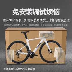喜德盛 AD300公路自行车 20速油碟