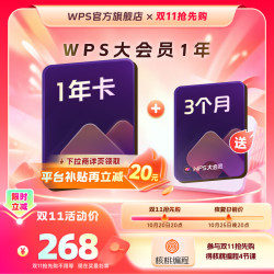 稻壳儿 wps 大会员15个月