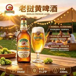 迷失海岸 德百福 小麦拉格精酿 老挝啤酒