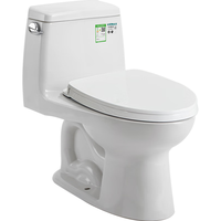 TOTO CW854SB 喷射虹吸 305mm坑距 连体坐便器