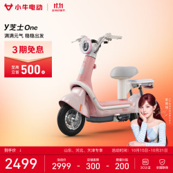 小牛电动 Y芝士One 电动自行车