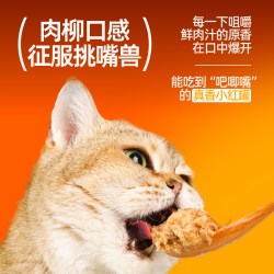 毛星球 全价主食猫罐头 85g