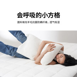 蓝盒子 Z1Pro 记忆绵弹簧床垫 180*200*28cm