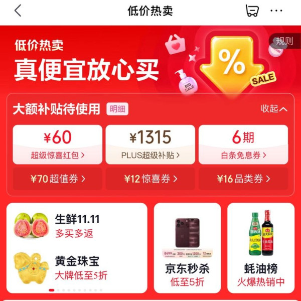 京东 低价热卖会场 领60元超级惊喜红包；1315元PLUS超级补贴优惠券；6期白条免息券等（每日可领）