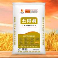 五得利 面粉八星多用途小麦粉25kg家用商用包子馒头饺子通用50斤