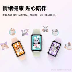 华为 手环11 专业睡眠监测 智能手环 标准版