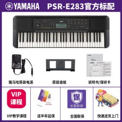 雅马哈 PSR-E273 61键电子琴（教学培训）
