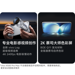 vivo X500 Pro Max 大地回声 12GB+512GB 手机
