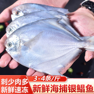 冰鲜部族 银鲳鱼 3-4条/斤*2斤