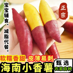 黄六爷 小香薯 3斤（50-110g）