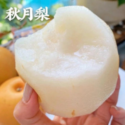 正宗秋月梨当季羊脂梨子整箱冰糖秋梨脆甜多汁新鲜发货