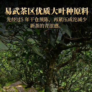 下关沱茶 普洱生茶 易武茶区松鹤沱 6g龙珠