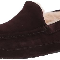 UGG 男性 Ascot 拖鞋 Espresso 尺码7