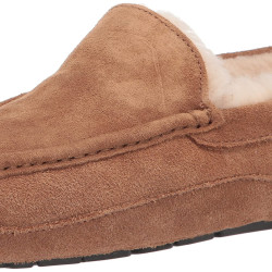 UGG 男性 Ascot 拖鞋 Chestnut 尺码7 Wide