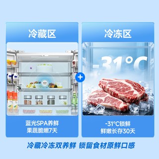 容声 BCD-500Q30CZLBP IPD主动净化 珠华白 500L 十字四门冰箱