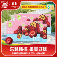 真果粒 蒙牛牛奶饮品东魁杨梅味含乳饮料康美苗条装250g*12包*2箱
