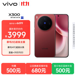 vivo X300 蔡司APO超级长焦 好运红 12GB+256GB 5G手机