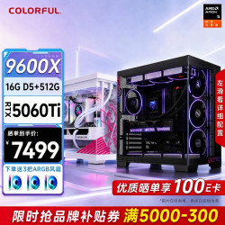 七彩虹 电竞游戏设计渲染 台式组装电脑主机  R5-9600X RTX 5060