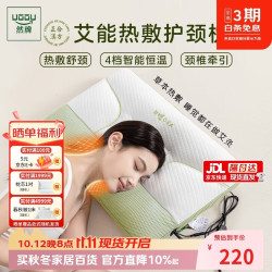 然牌 艾灸颈椎枕头 正合汉方热敷护颈枕牵引电加热艾草艾灸 竹青单只