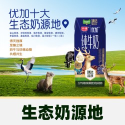 光明 猫超臻选4.0g纯牛奶光明优加200mL*24盒包装随机
