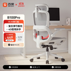 西昊 久坐舒适 人体工学椅  B100Pro 无脚踏 弹弓骶枕+3D头枕 转椅