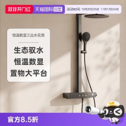 科勒 SH10雨神37963T 恒温数显挂墙淋浴柱