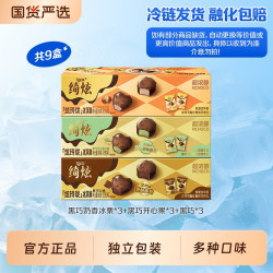 伊利 冰淇淋绮炫炫玲珑黑巧开心果奶香冰栗多口味组合装共9盒
