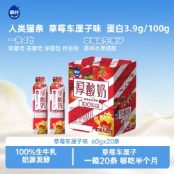 嚼绊 酸奶条三口味厚酸奶巴氏杀菌风味酸奶条生牛乳发酵整箱