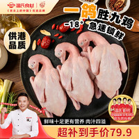 温氏 供港乳鸽 900g/3只 鸽子肉土鸽子卤鸽子烤鸽子 供港高品质 烧烤食材卤味零食卤煮食材乳鸽汤食材