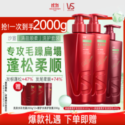沙宣 清盈顺柔洗护套装 (洗发水500g*2+护发乳400g)