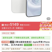 17 256G版本