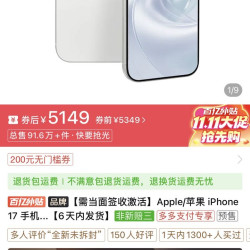 17 256G版本
