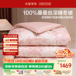 水星家纺 蚕丝被100%桑蚕丝冬被子冬季加厚保暖被芯南法系列约6.7斤200*230